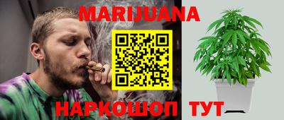 индика Мариинск