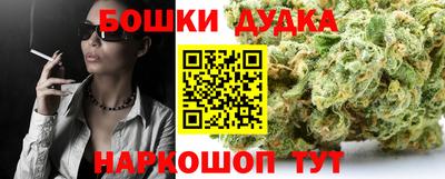 индика Мариинск