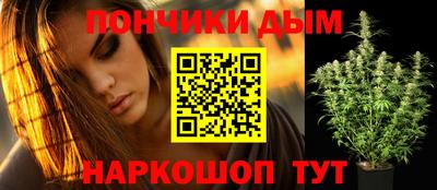 индика Мариинск