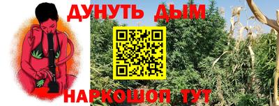 индика Мариинск